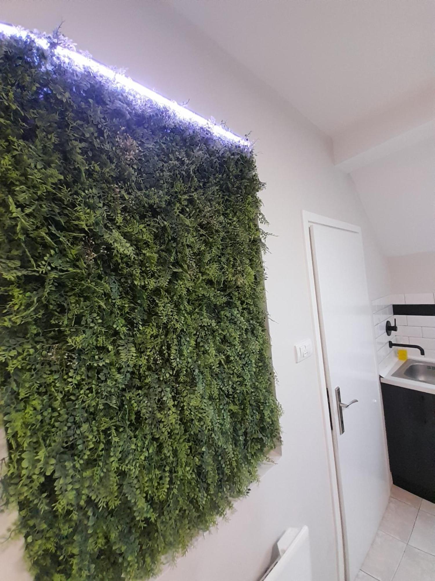 スボティツァCool & Cozy Centerアパートメント エクステリア 写真